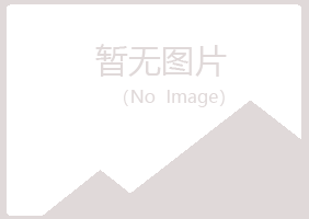 仲巴县夏日邮政有限公司